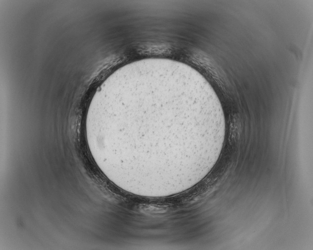 X0000111370739200908071214