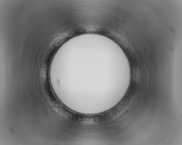 X0000111370740200908071214