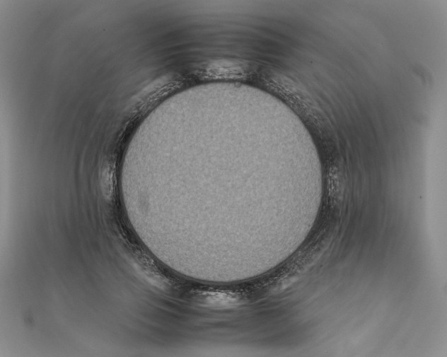 X0000111370741200908071214