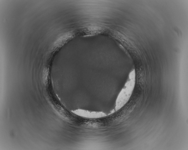 X0000111370742200908071214