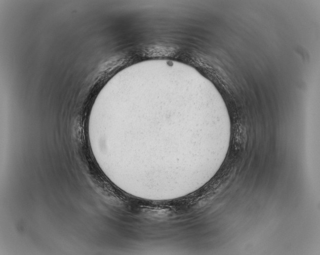 X0000111370743200908071214