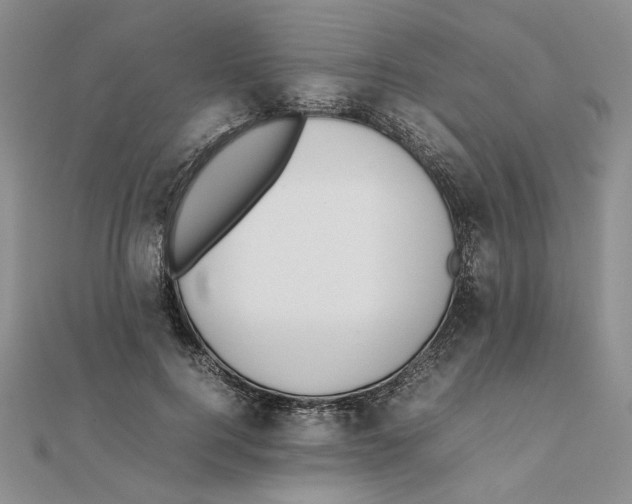 X0000111370744200908071214