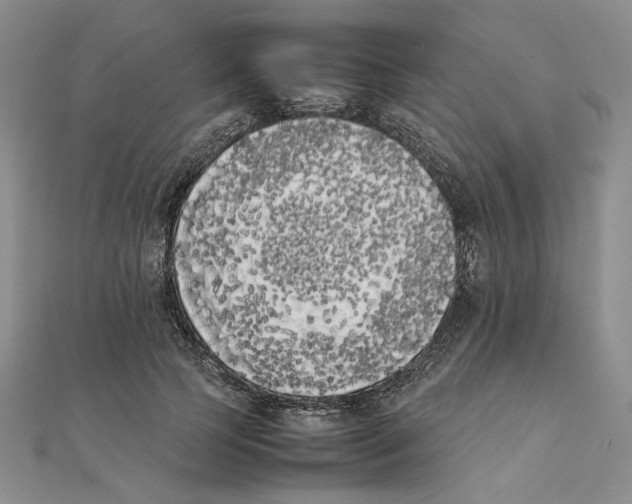 X0000111370745200908071214