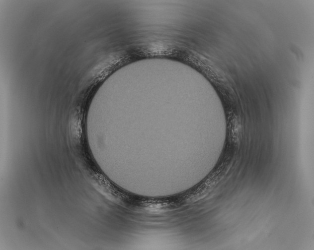 X0000111370746200908071214