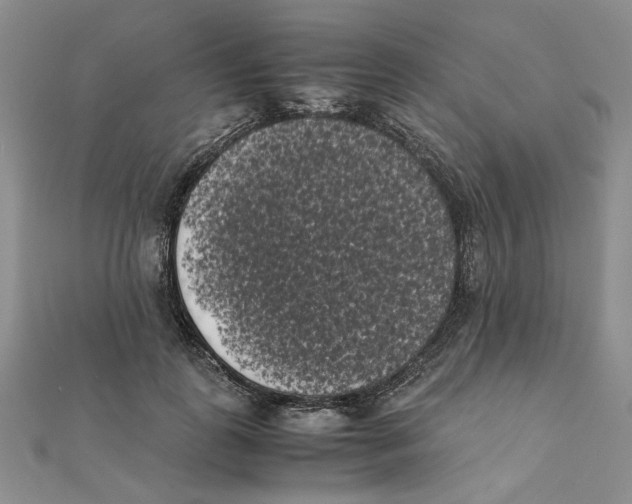X0000111370747200908071214