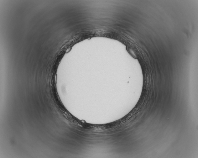 X0000111370750200908071214