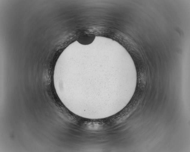 X0000111370751200908071214