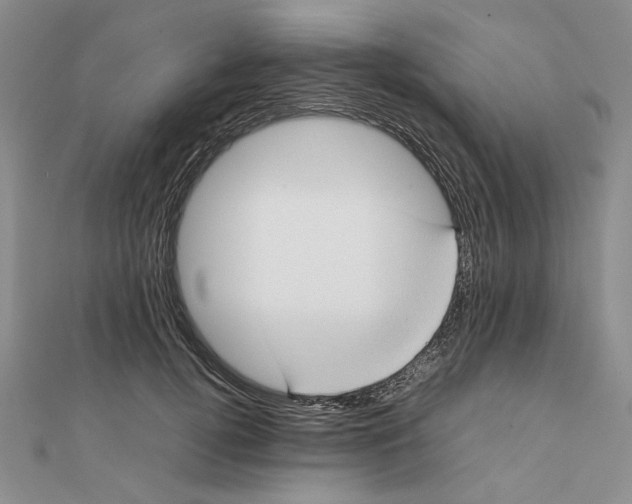 X0000111370752200908071214