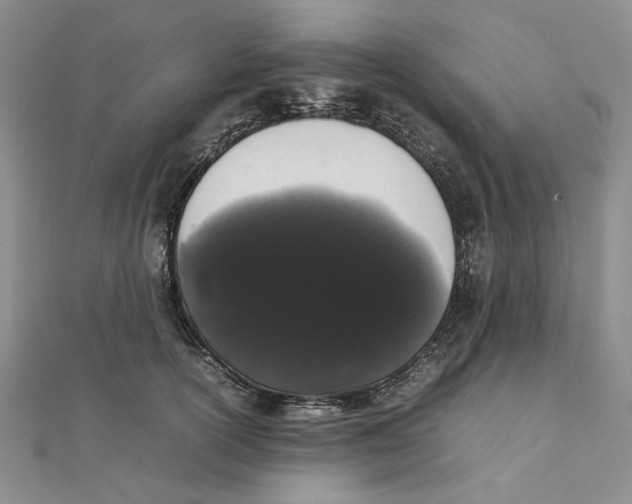 X0000111370754200908071214