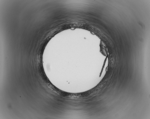 X0000111370756200908071214