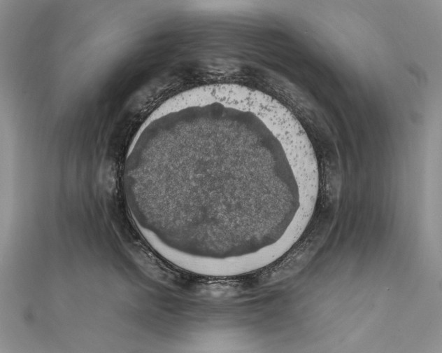 X0000111370758200908071214