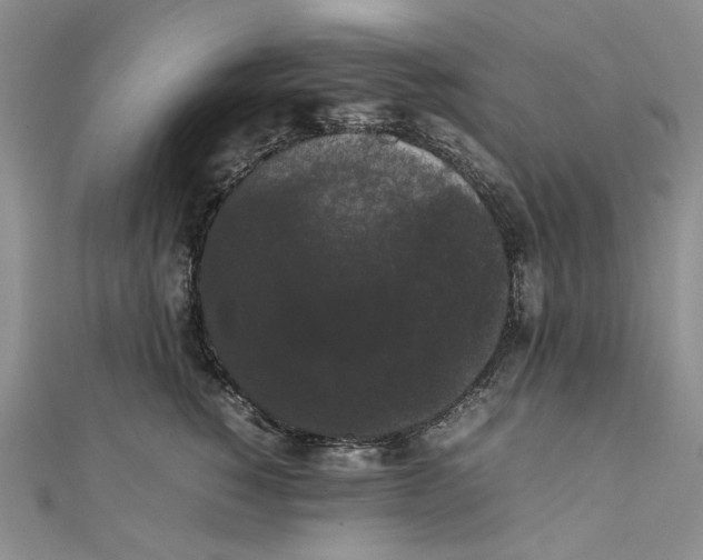 X0000111370760200908071214