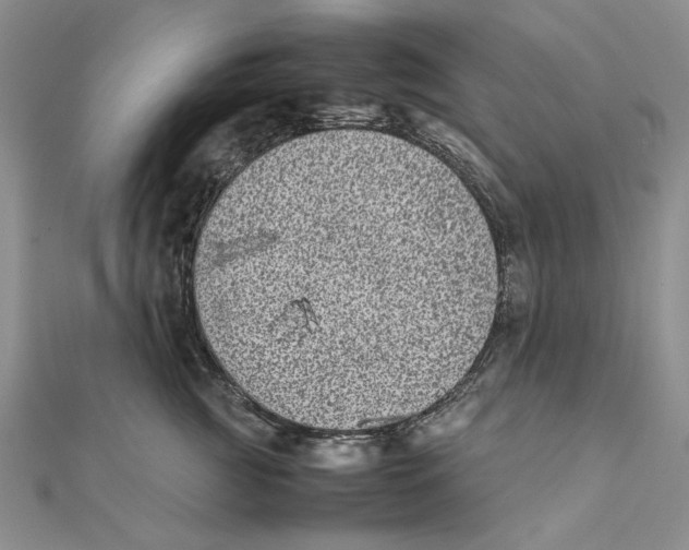 X0000111370761200908071214