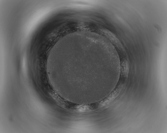X0000111370762200908071214
