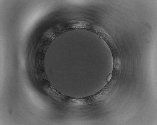 X0000111370763200908071214
