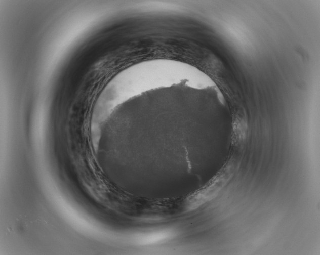 X0000111370765200908071214
