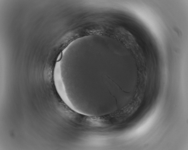 X0000111370767200908071214
