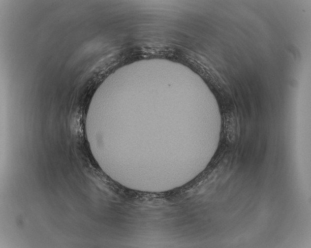 X0000111370770200908071213