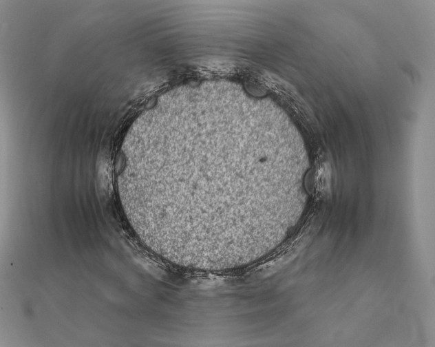 X0000111370772200908071213