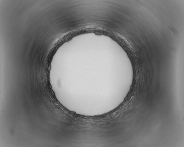 X0000111370776200908071213