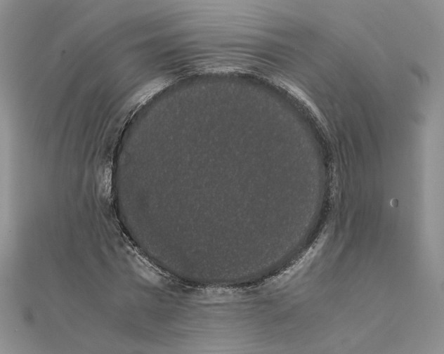 X0000111370777200908071213