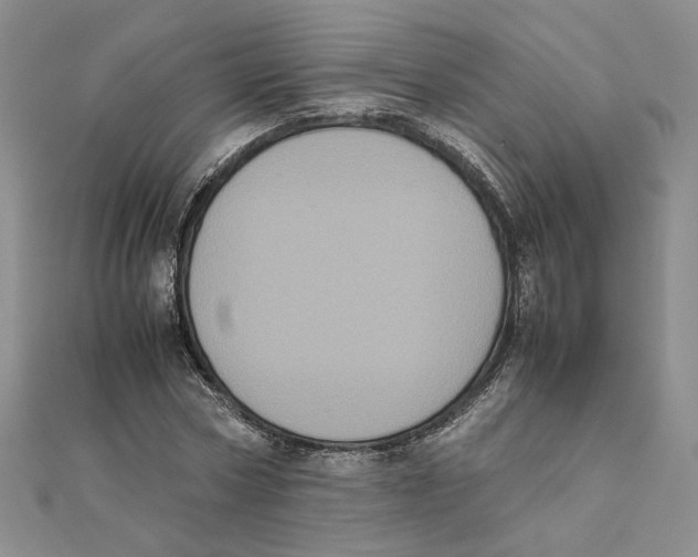 X0000111370778200908071213