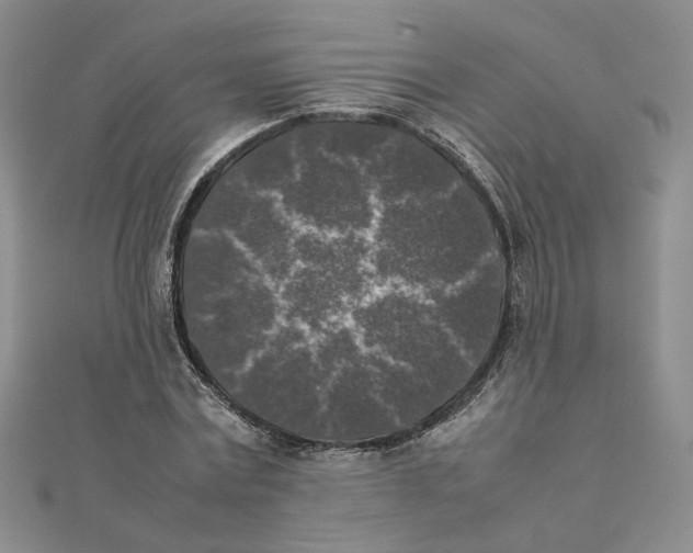 X0000111370779200908071213