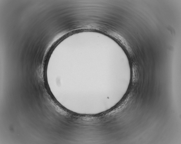 X0000111370780200908071213