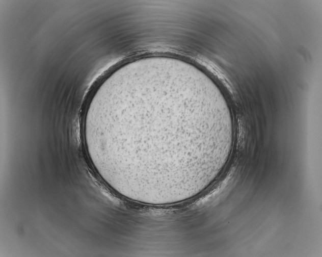X0000111370782200908071213