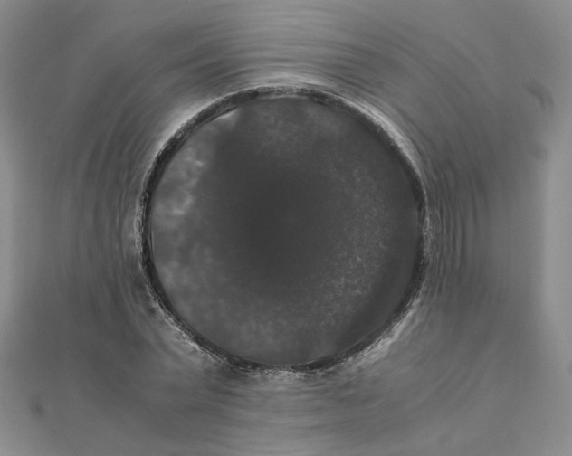X0000111370783200908071213