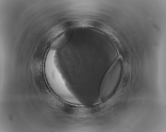 X0000111370785200908071213