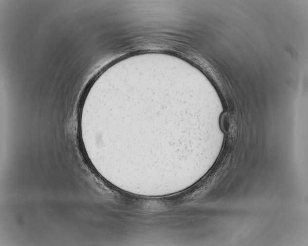 X0000111370787200908071213