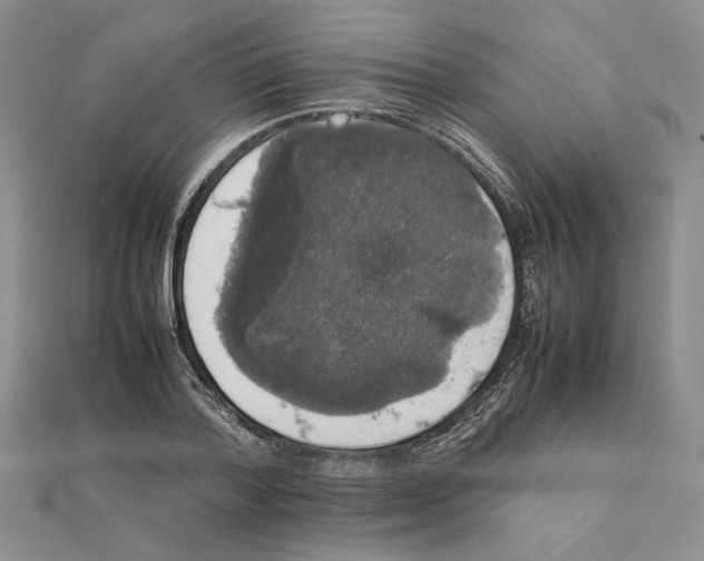 X0000111370788200908071213