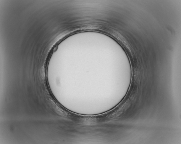 X0000111370789200908071213