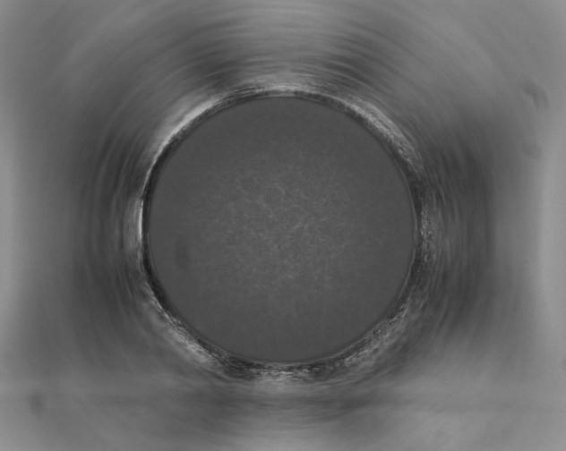 X0000111370790200908071213