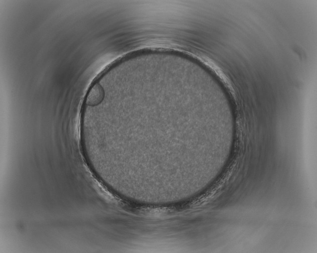 X0000111370791200908071213
