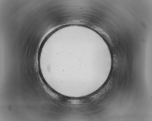 X0000111370792200908071213