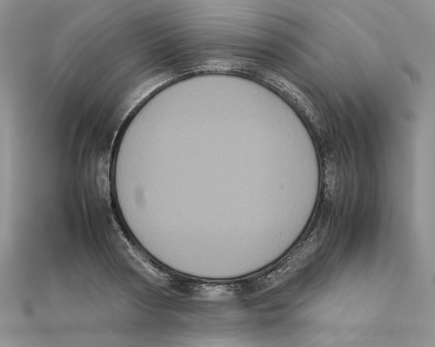 X0000111370794200908071213