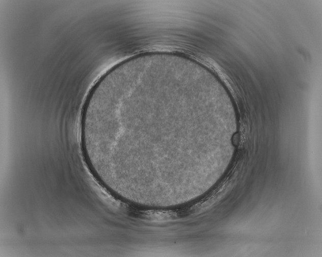 X0000111370795200908071213