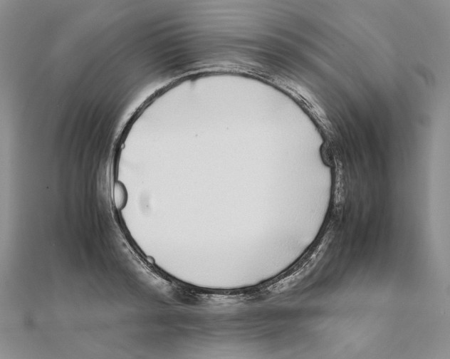 X0000111370796200908071213
