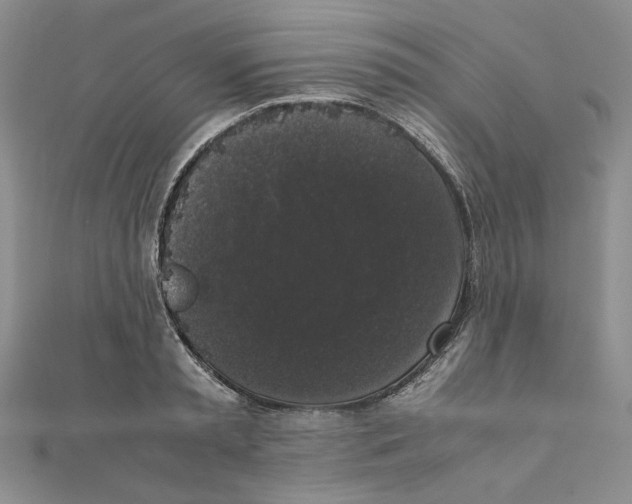 X0000111370797200908071213