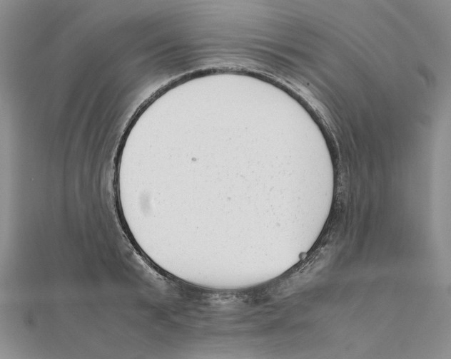 X0000111370799200908071213