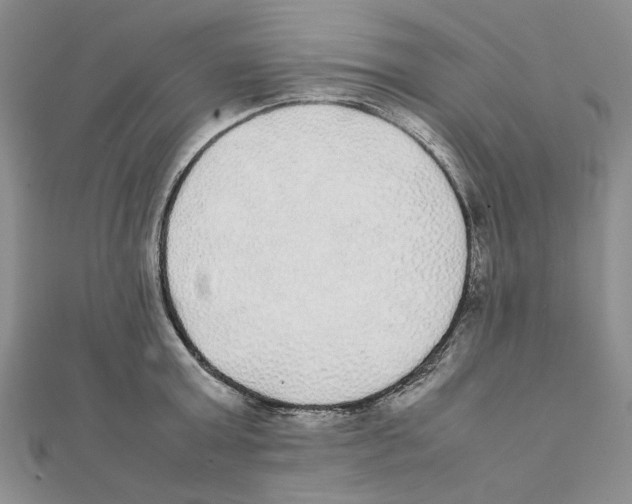 X0000111370803200908071213