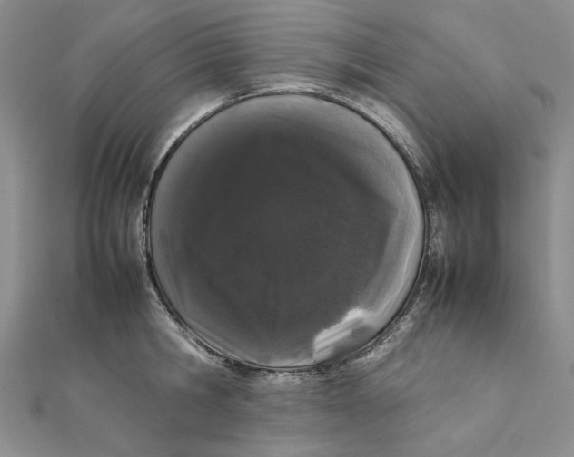 X0000111370806200908071213