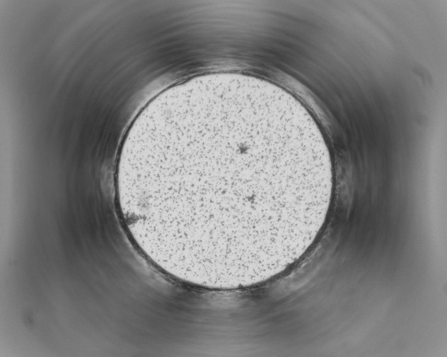 X0000111370810200908071213