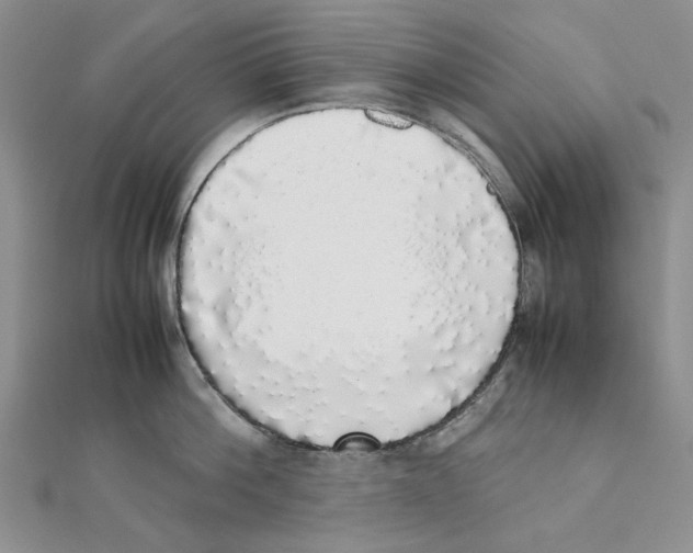 X0000111370812200908071213