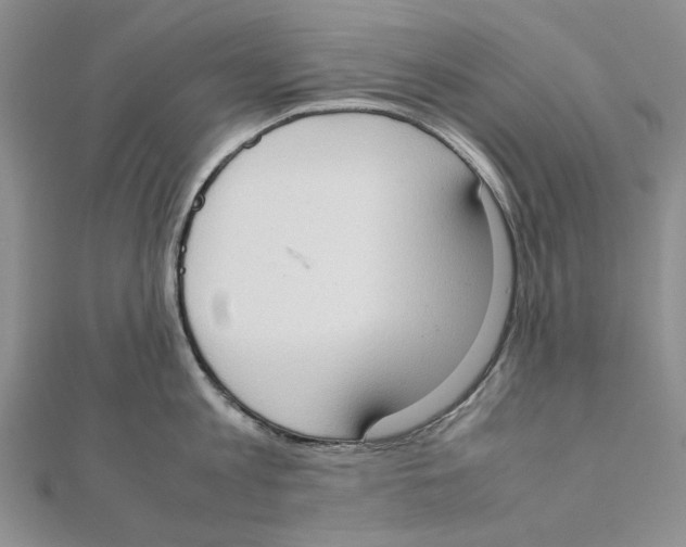 X0000111370813200908071213