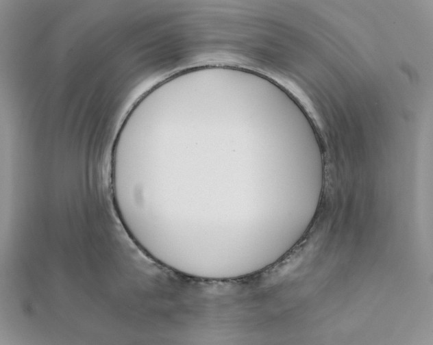 X0000111370815200908071213