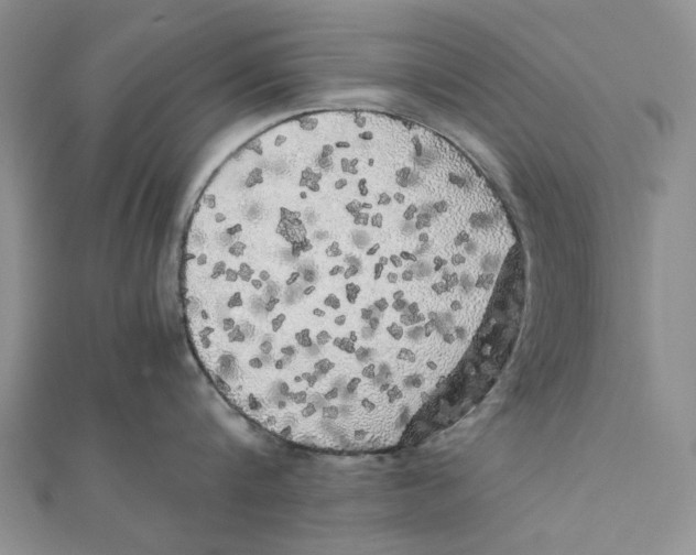X0000111370816200908071213