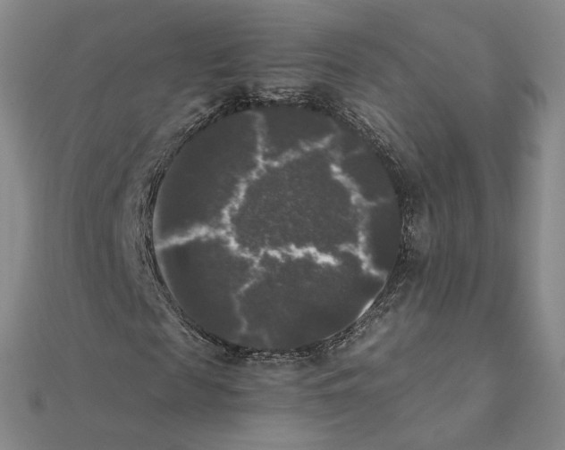 X0000111370817200908071212